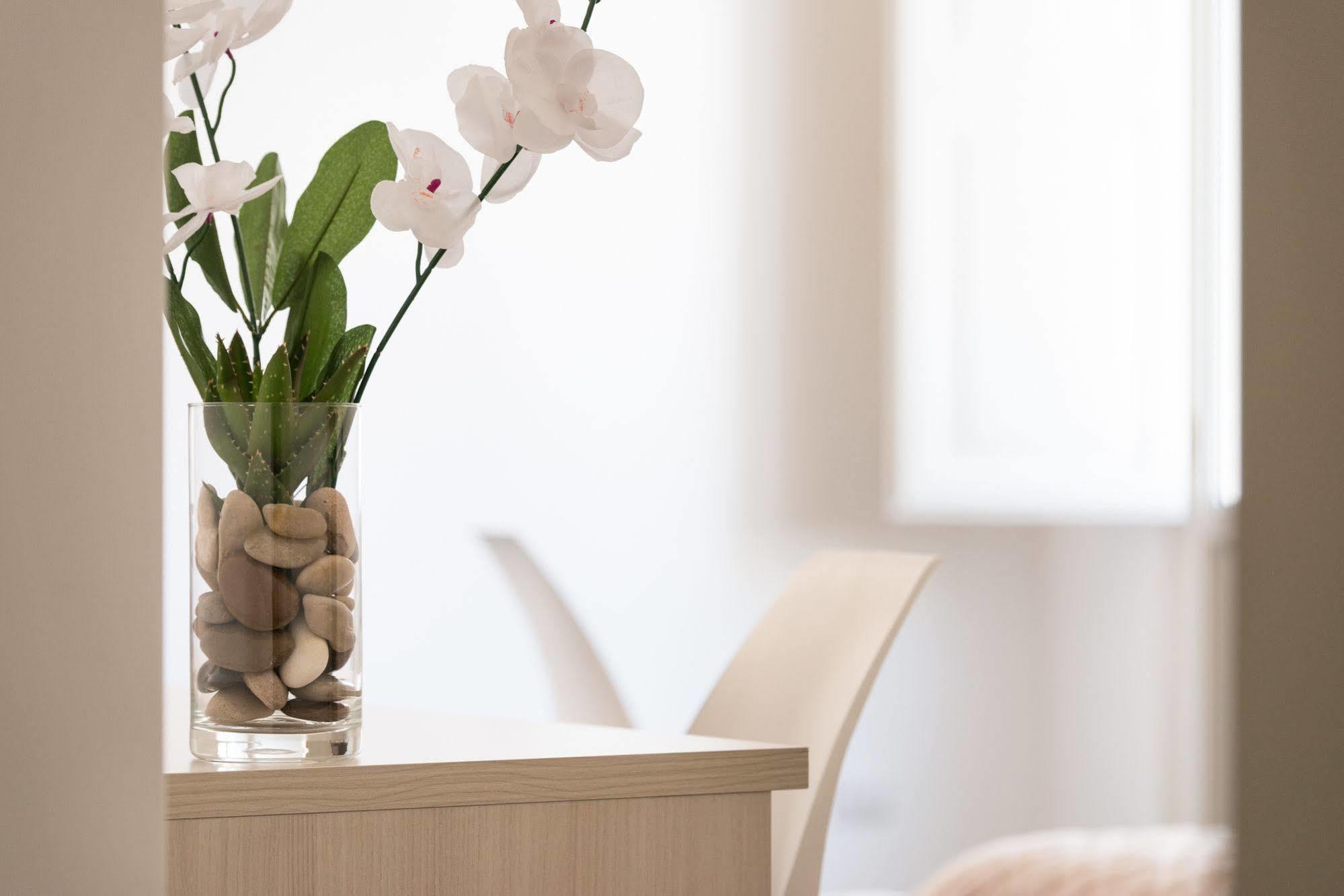 Gatto Bianco La Dimora Storica Bed and breakfast Lecce